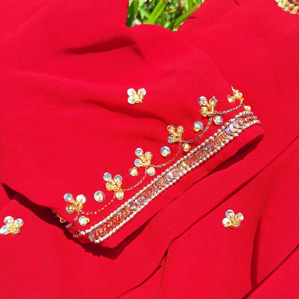 Beautiful Saree - Picture 3 of 3